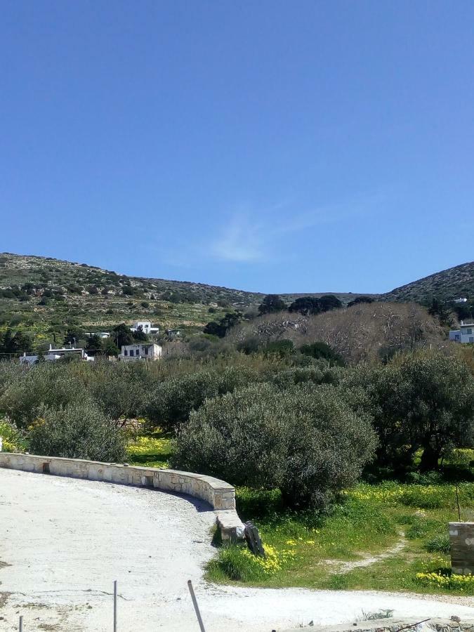 Traditional House Paros Sarakiniko  Bagian luar foto